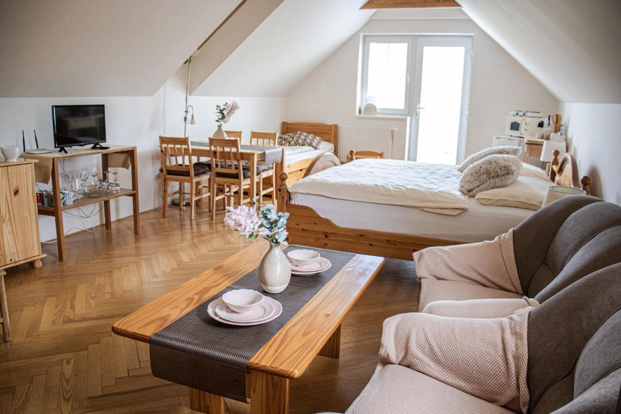 U Petry Apartment Luhacovice
